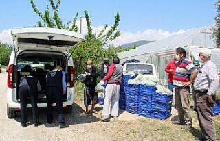400 kilo sebzeyi yardıma muhtaç ailelere bağışladı