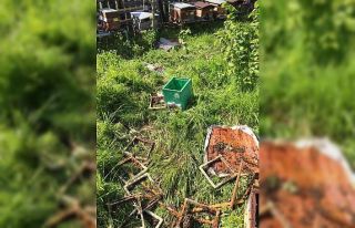 Aç ayı kovanlarını parçaladı