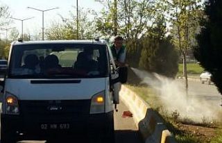 Adıyaman Belediyesi yabani otları imha ediyor