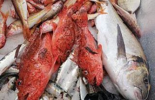 Adrese teslim balık