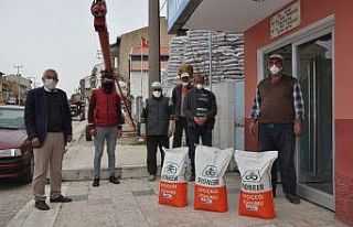 Afyonkarahisar’da yüzde 75 hibe destekli ayçiçeği...