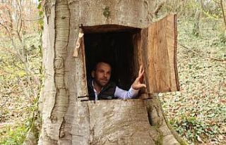 Ağaçkakan gibi asırlık ağaca sığındı, başına...