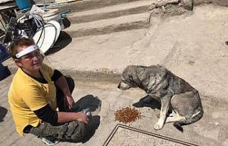 AHBAP’tan sokak hayvanlarına mama yardımı