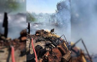 Ahır yangınından büyükbaş hayvanlar son anda...