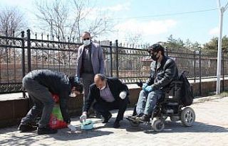 Ahlat’ta sokak hayvanları unutulmadı