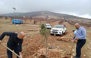 Akçadağ’da fidanlar toprakla buluştu