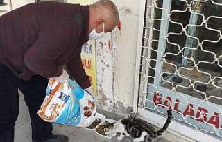 Akçadağ’da sokak hayvanları unutulmadı