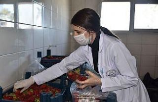 Aliağalıların gıda ihtiyaçları tek tıkla kapılarına...