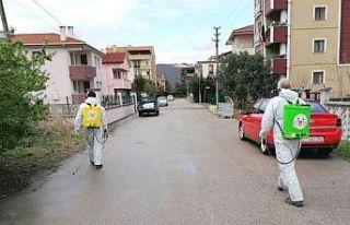 Altınova, karış karış ilaçlanıyor