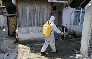 Altınova’da ilaçlanmadık yer kalmıyor