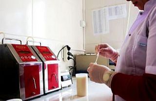 Amasya’da mart ayında günlük 67 ton çiğ süt...