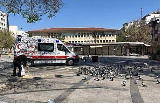 ANKA ve CAHİDE sokak hayvanlarını besledi