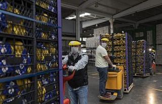 Ankara Büyükşehir Belediyesi de Mersin’den limon...