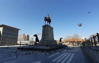 Ankara Ulus Meydanı’nda öksüz kalan güvercinler...
