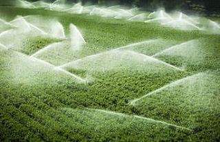 Ankara’da 161 bin 845 dekar tarım arazisi suyla...