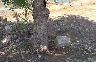 Antalya’da 10 yaşındaki çocuğun feci ölümü