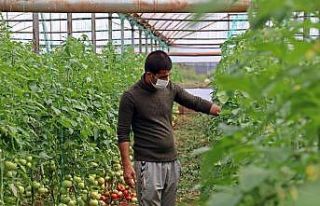 Antalya’da üretim son gaz devam ediyor