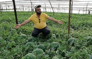 Antalya’da yeni sezon karpuzlar kilogramı 5 liradan...