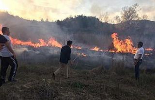 Arazi yangınında kaymakam, belediye başkanı ve...