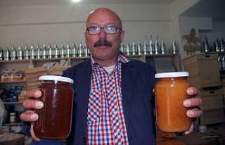 Arı sütü ve propolis Korona virüsüne karşı...