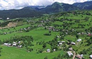 Artvin’de bir köy daha karantinaya alındı