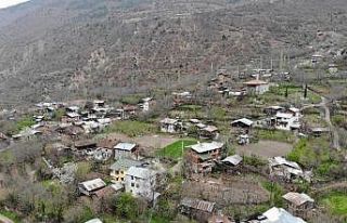 Artvin’de köy muhtarlığı kendi karantinasını...