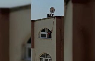 Ayağı ipe takılan Ebabil kuşunu Can-Kur kurtardı