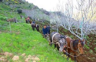 Aydın’da üretim seferberliği: Bölgedeki tüm...