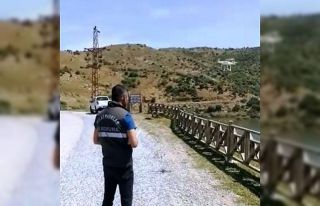 Aydın’da yaban hayatı drone ile korunuyor