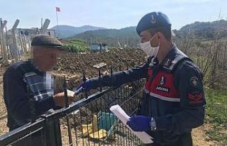 Ayvacık’ta 65 bin 541 kişinin talebi karşılandı