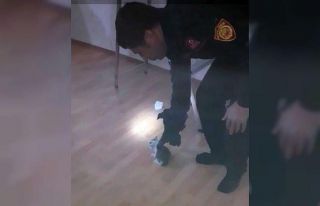 Bacaya sıkışan yavru kediyi itfaiye kurtardı