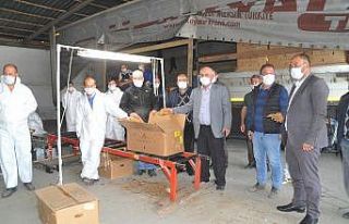 Bafra’da tütün alımları başladı