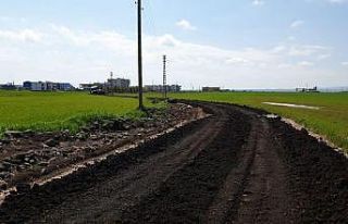 Bağlar Belediyesi kırsal mahallelerdeki çalışmalarına...