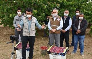 Bakan Pakdemirli kiraz üreticileri ile telekonferansta...