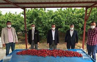 Bakan Pakdemirli, Kuzey Yarım Küre’nin ilk kiraz...