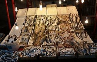 Balık sezonu kapandı ama fiyatlar artmadı