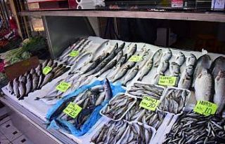 Balıkçı esnafının zor günleri