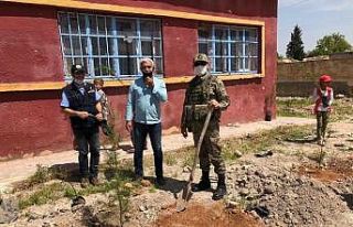 Barış Pınarı bölgesinde içme suyu ve ağaçlandırma...