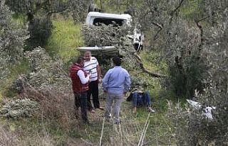 Bariyerlere çarpıp zeytinliğe uçtu