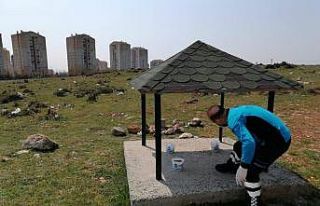 Başakşehir’de sokak hayvanları unutulmadı