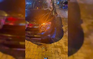 Başıboş atlar otomobilin üzerine çıktı, sürücü...