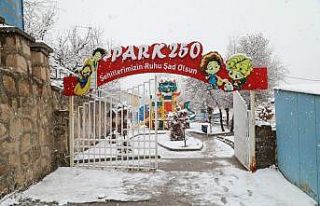 Başkale’de kar yağışı