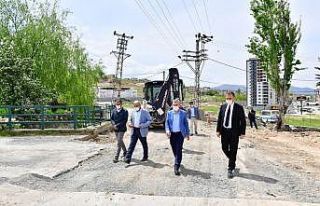 Başkan Çınar, çalışmaları yerinde inceledi