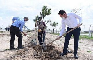 Başkan Hasan Kılca: “Korona ağaç sevgimizi engelleyemez”