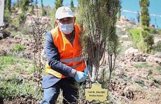 Başkan Işık, fidan dikim etkinliğine katıldı