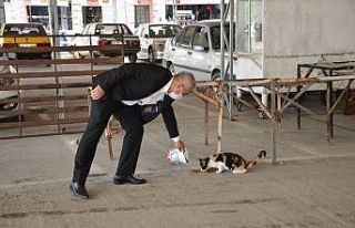 Başkan Karakuş sokak hayvanlarını elleriyle besledi