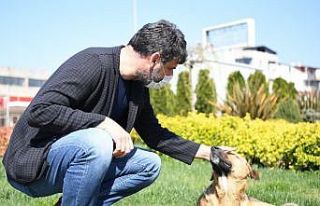 Başkan Kocaman sokak hayvanlarını elleriyle besledi