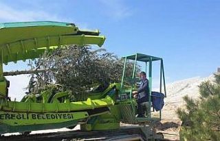 Başkan Oprukçu: “Ağaç dikmek bizim işimiz”