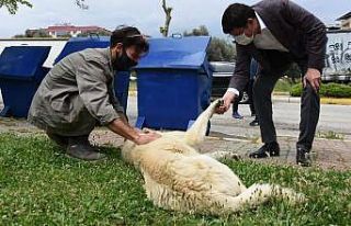 Başkan Özcan; "Her geçen gün daha da güçleneceğiz"