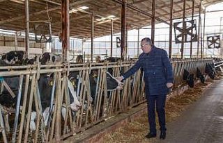 Başkan Özkan’dan üreticilere destek ziyareti